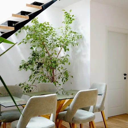 City View Penthouse With Private Veranda Tirana